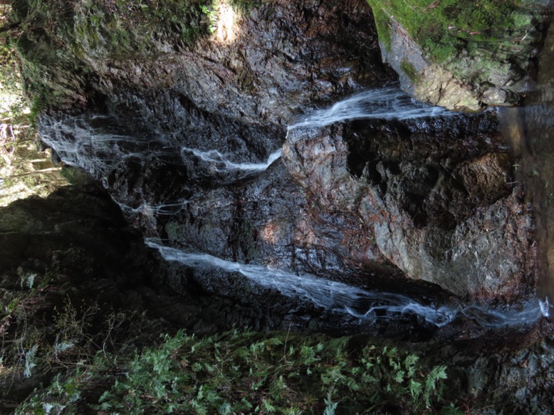 日和田山、物見山